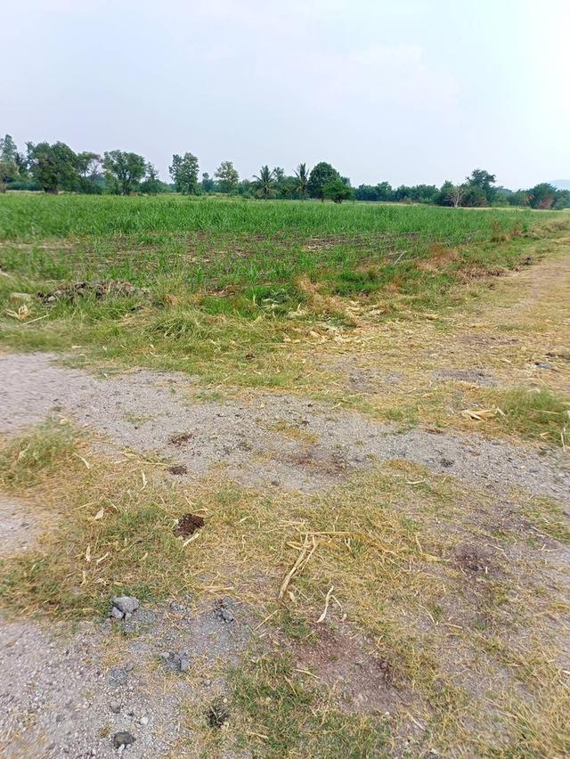 ที่ดินเปล่าแปลงเล็กราคาถูก 2