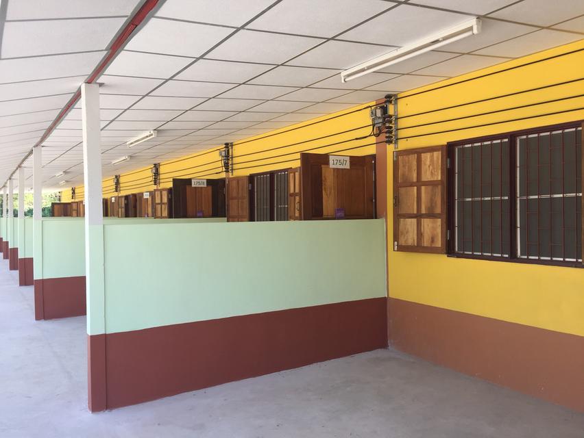 ห้องแถว บ้านเช่า อ.บางแพ จ.ราชบุรี 2