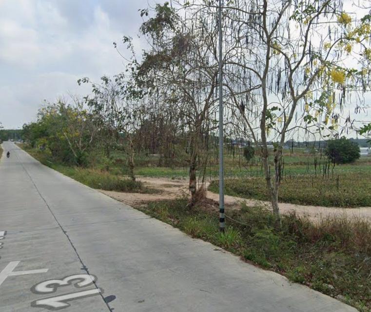 ขายที่ดินมาบข่า นิคมพัฒนา 31 ไร่ ซอย3สาย13 ใกล้นิคมปิ่นทอง6-5กม. จ.ระยอง