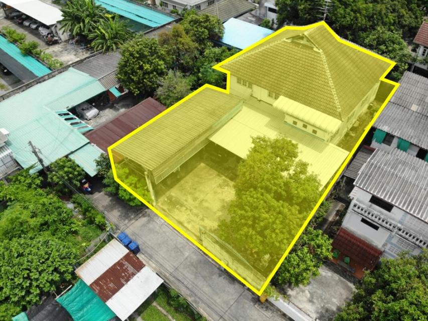 ขาย ที่ดิน บางซื่อ พร้อมบ้านและหอพัก 126 ตร.วา ทำเลใจกลางเมือง ซ.สะพานขวา ใกล้ MRT เตาปูน เหมาะสร้างอพาร์ตเมนต์หรือที่พั 1