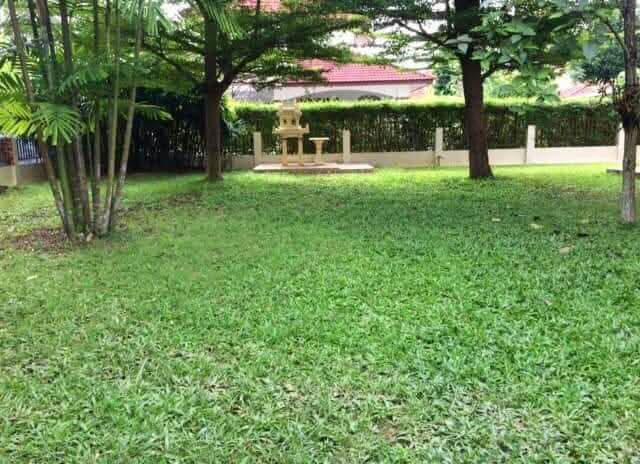 บ้านเดี่ยว2ชั้นบนที่ดิน 121 ตรว.4ห้องนอน 3ห้องน้ำใกล้เซนทรัลเฟสติวัล ตลาดสามแยก รวมโชค รพ.กรุงเทพ รพ.แมคคอร์มิค บ้านร่มรื่นมากๆส รูปที่ 9