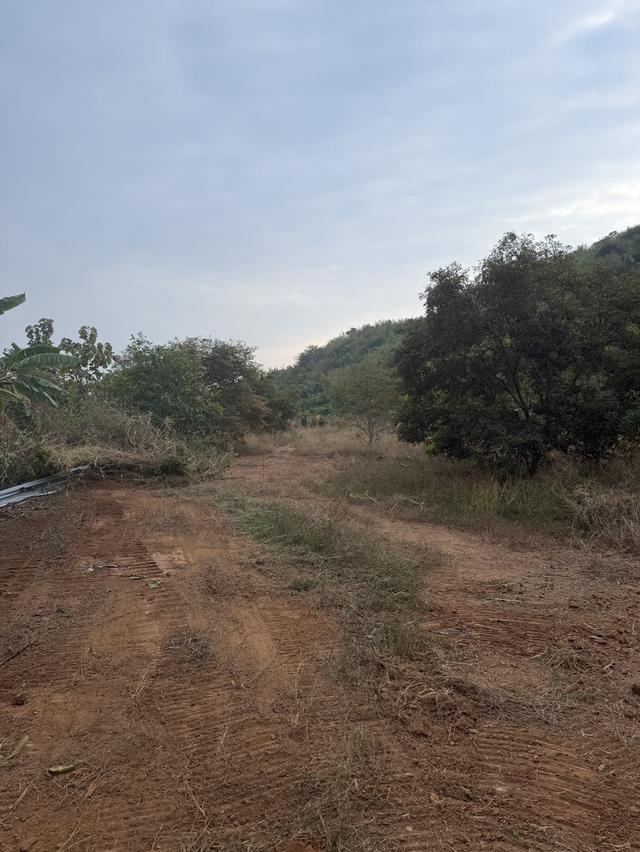 ที่ดินประจวบคีรีขันธ์ (วิวภูเขา) 8