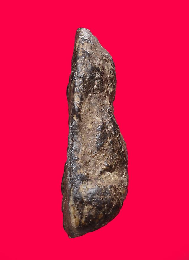 พระปิดตา หลวงพ่อแก้ว รูปที่ 3