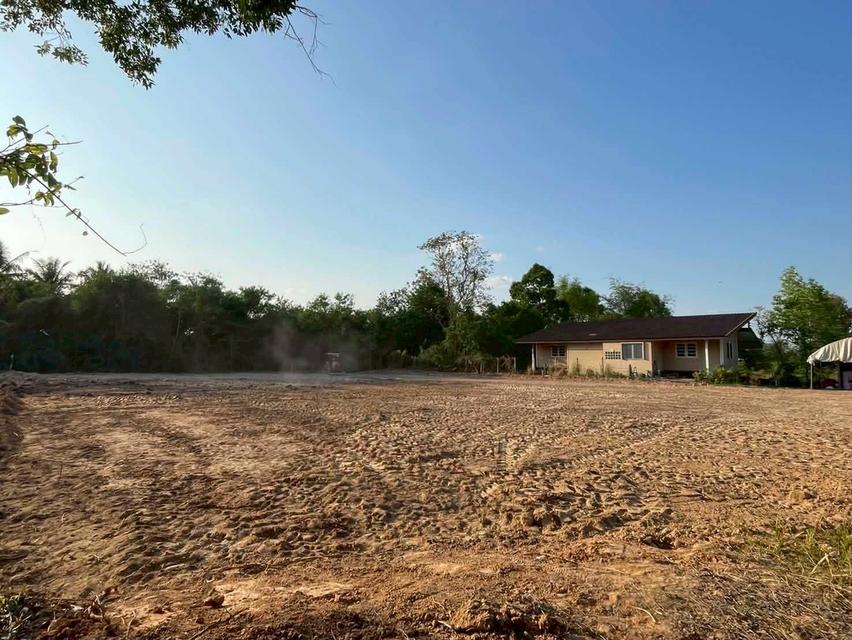 ขายที่ดินถมแล้ว อุบลราชธานี เพียง 1.5 ลบ. ฟรีโอน ราคาดีมาก เหมาะซื้อเก็บหรือสร้างบ้านทันที! (N.2028) 5