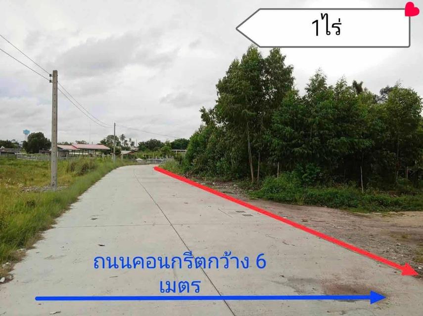 ขายที่ดินบึง หนองแขวะ 1 ไร่ ติดถนนคอนกรีตใกล้ท่าเรือแหลมฉบัง-9กม. อ.ศรีราชา ชลบุรี