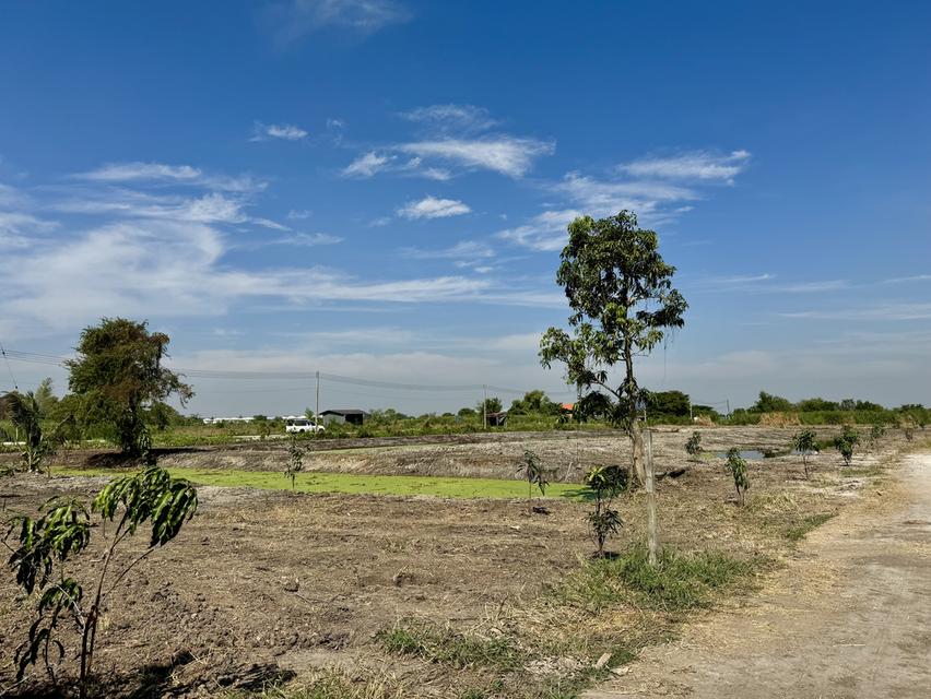 ขายที่ดิน 5 ไร่ ลำลูกกา คลอง 12 ทำเลดี ติดแหล่งชุมชน 1