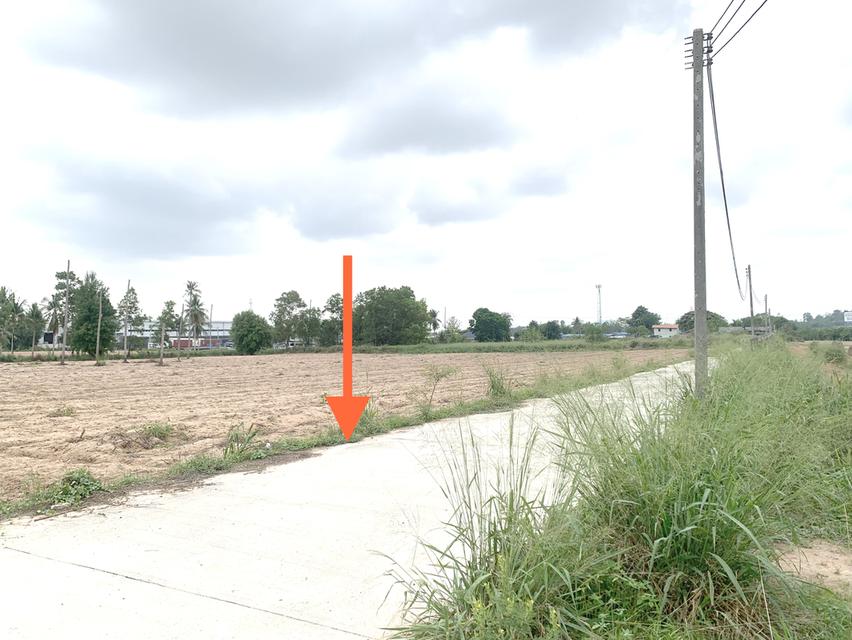 ขายที่ดินศรีราชาพื้นที่สีม่วง เนื้อที่ 35-3-71ไร่ + 8ไร่(พื้นที่สีม่วง) 2