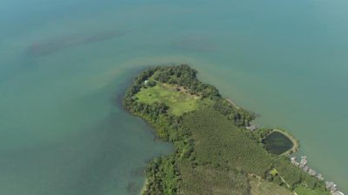 Sale Beautiful land island  1