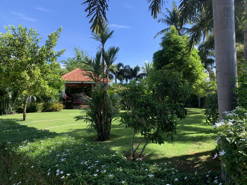 บ้านเดี่ยว 10