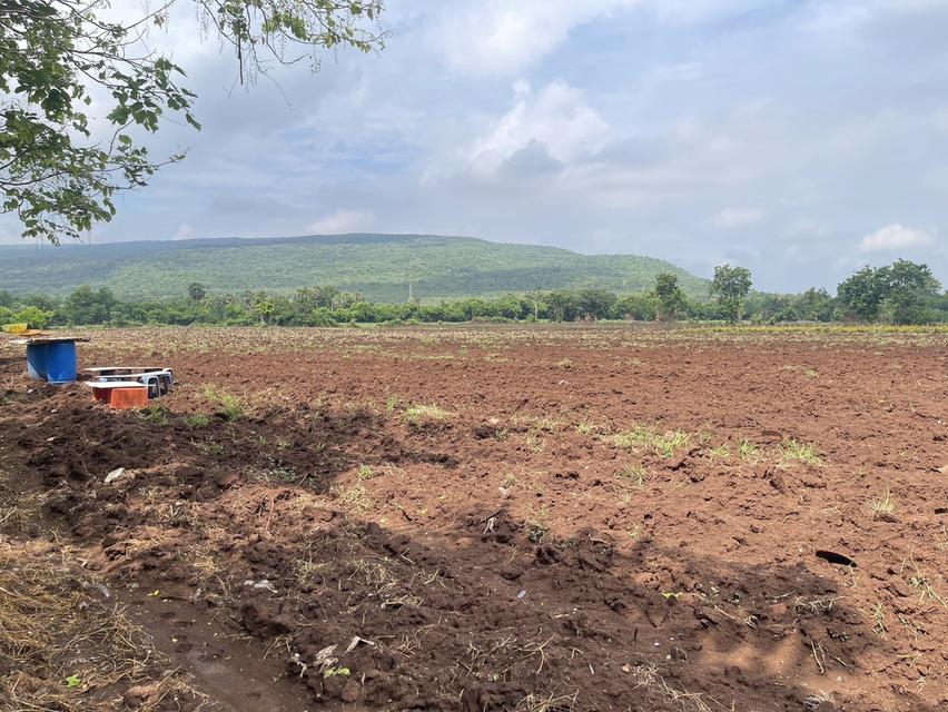 ขายที่ดิน(เจ้าของขายเอง) ติดถนนสุรนารายณ์ (205) โฉนดครุฑแดง 16 ไร่ 1 งาน 45 ตารางวา ลพบุรี 1