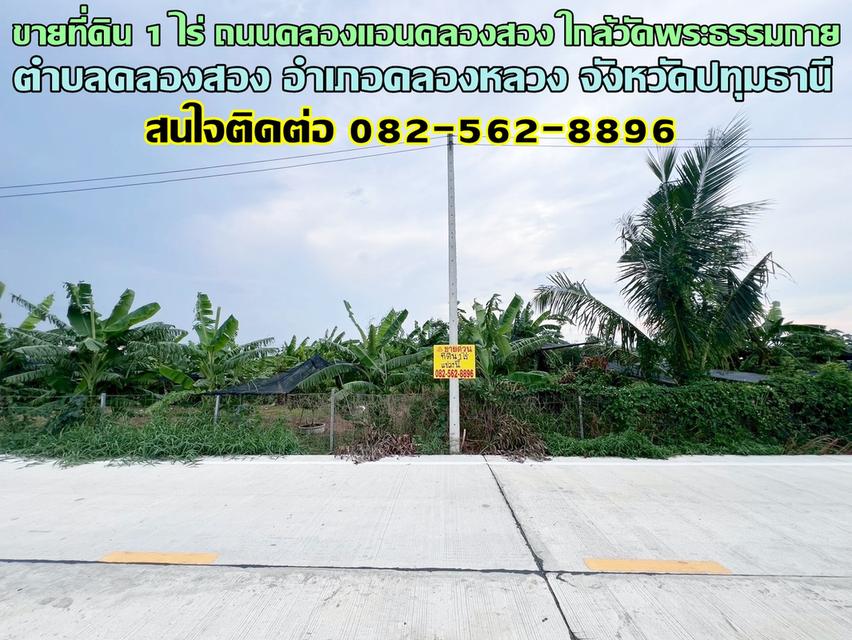 ขายที่ดิน 1 ไร่ ถนนคลองแอนคลองสอง ใกล้วัดพระธรรมกาย คลองหลวง ปทุมธานี 1