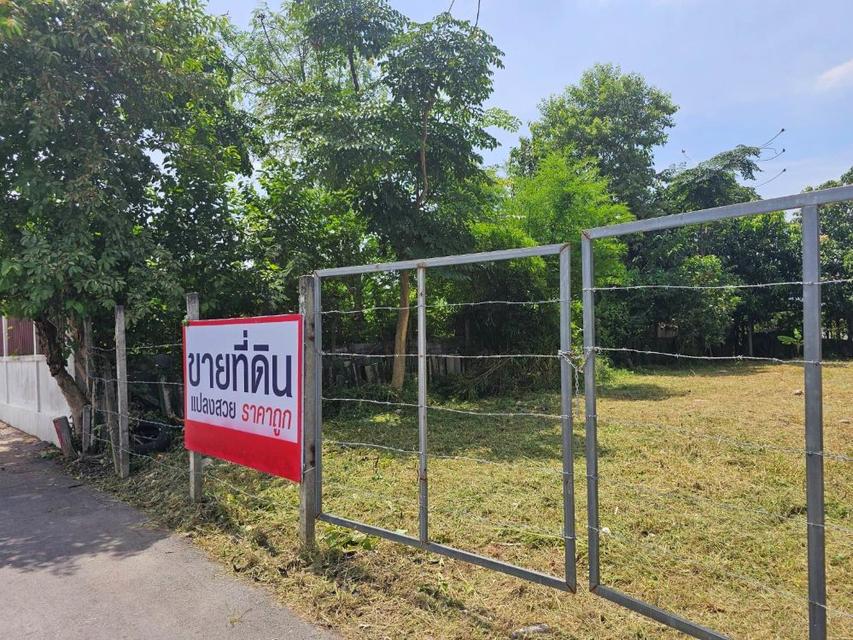 ขายที่ดินแปลงสวย ถมแล้ว ขนาด 196 ตร.วา เข้าซอย หทัยราษฎร์ 23/1 เพียง 500 ม. ใกล้ทางด่วน - ถนนวงแหวน - MRT มีนบุรี