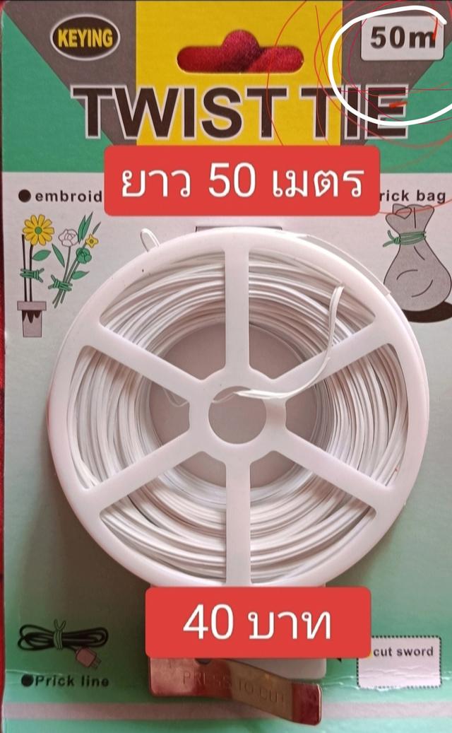 ป้ายติดชื่อต้นไม้สีสัน