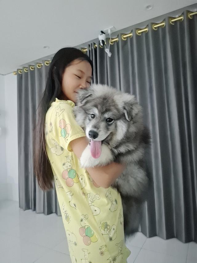 น้องหมา 6