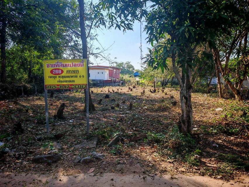 ขายที่ดินสวย ใกล้ทางหลวง ตำบลหนองบัว เมืองอุดรธานี รูปย่อยที่ 3