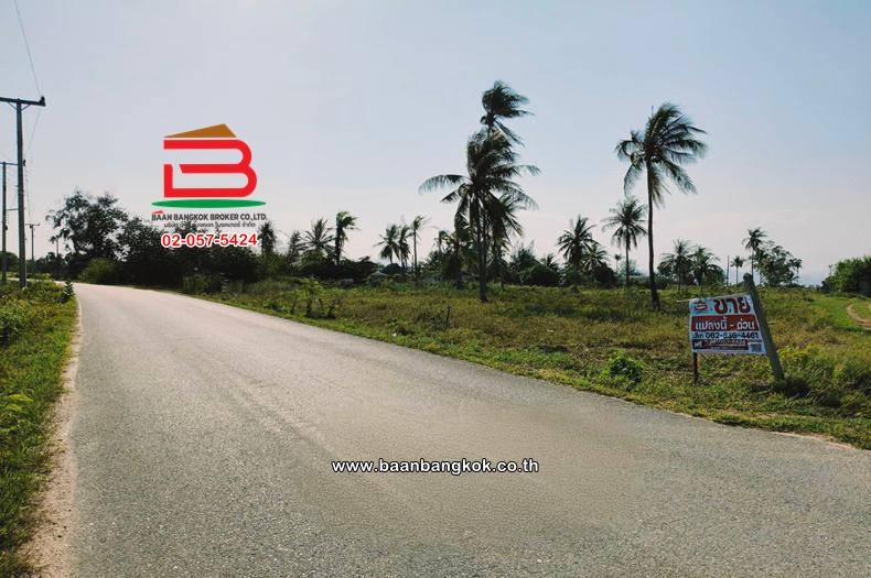 ที่ดินเปล่า เนื้อที่ 33-0-38 ไร่ ซอยสันตินคร ใกล้หมู่บ้านศิริวรรณ ถนนเพชรเกษม ตำบลอ่าวน้อย อำเภอเมืองประจวบคีรีขันธ์ ประจวบคีรีขันธ์ 4