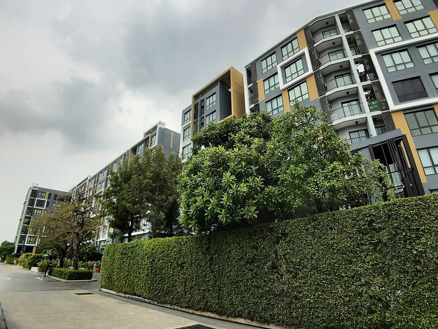 Condo