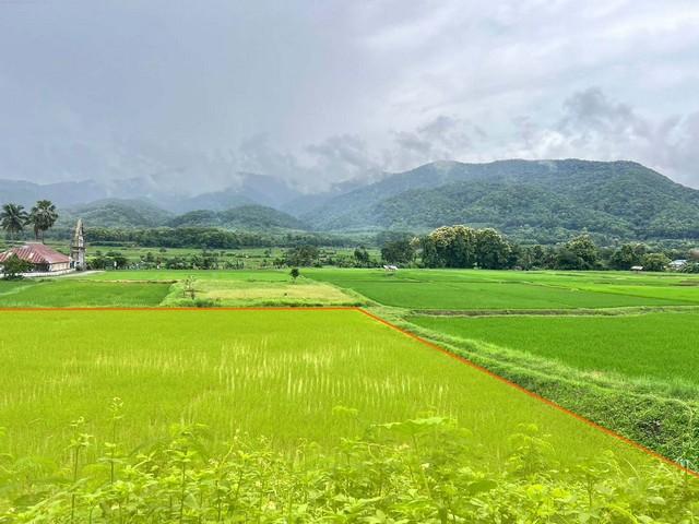 ที่ดิน...วิวดอยภูคา...ใกล้แหล่งชุมชน...ใกล้แหล่งท่องเที่ยว 2