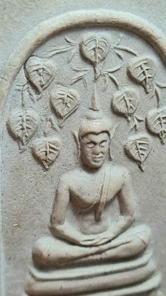 สมเด็จปรกโพธิ์