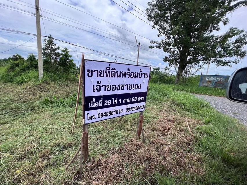 ที่ดิน29ไร่1งาน68ตรว. จ.นครสวรรค์ อ.ไพศาลี 4
