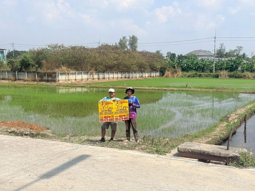 ขายด่วนที่ดิน 367 ตรว ติดถนนคอนกรีตสาธารณะ (แบ่งได้)  ศาลายา อ.พุทธมณฑล จ.นครปฐม 1