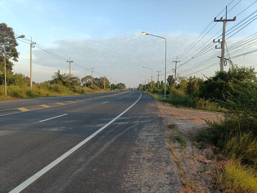 ที่ดินเปล่าติดถนนนาเชือก-พยัคฆภูมิพิสัย 219 จังหวัดมหาสารคาม อำเภอพยัคฆภูมิพิสัย ตำบลลานสะแก