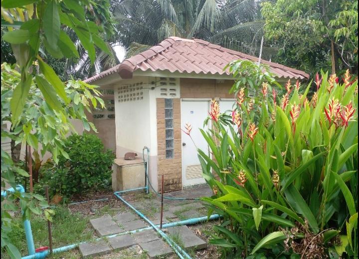 บ้านสวนสวยพร้อมอยู่บนเนื้อที่ 3 ไร่เศษบรรยากาศดีการเดินทางสะดวกใกล้จุดขึ้น-ลงทางด่วน M82 บ้านแพ้ว สมุทรสาคร ปลูกผลไม้เ็มพื้นที่เก็บกินได้ตลอดปี 10 ล. รูปที่ 10