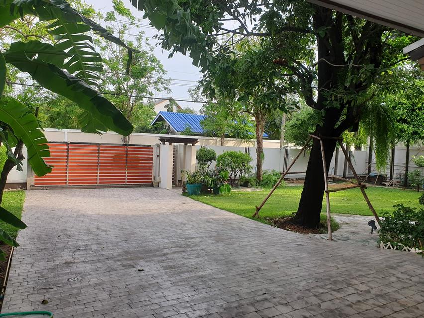 ให้เช่าบ้าน ม.บ้านลาดพร้าว Exclusive  ถ.เลียบด่วนเอกมัย-รามอินทรา 2