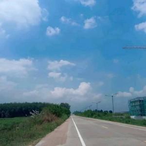 ขายที่ดินหนองอิรุณบ้านบึงชลบุรี ขายที่ดิน 15 ไร่ อยู่ใกล้นิคมAsiaClean พื้นที่สีเหลือง 7