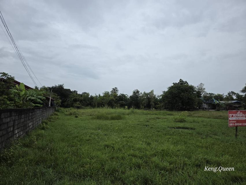 ที่ดินเปล่า บ้านพัก ตึกอาคาร 3