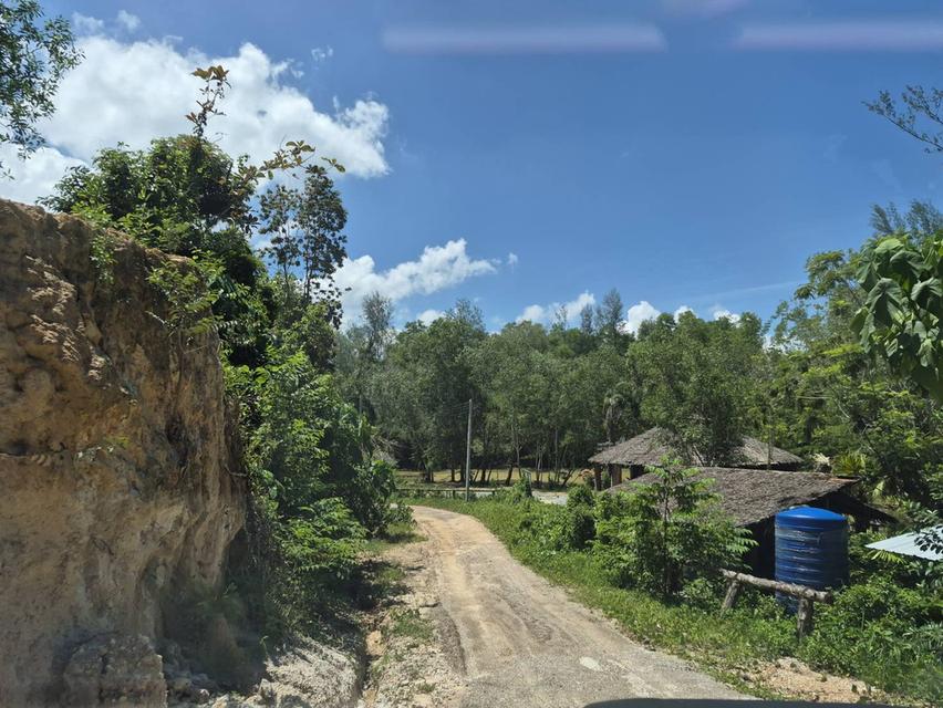 ที่ดิน สวนยาง วิวภูเขา ทำเลสร้างพูลวิลล่า 6