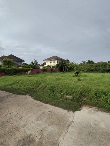 ขายที่ดินถมแล้ว 198 ตร.ว.ย่านนวมินทร์ หมู่บ้านศรีนครพัฒนา ใกล้เดอะมอลล์บางกะปิ เลียบด่วน ที่ดินถมสูงจากถระดับถนนประมาณ 60 ซ.ม. ถมมาแล้วประมาณ 5ปี 5