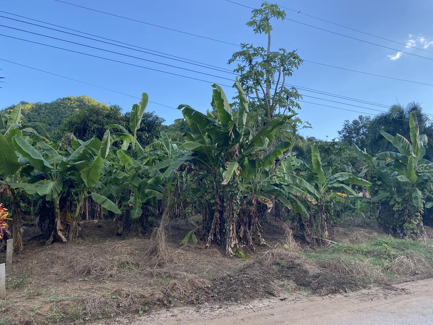 ขายที่ดินสวยสี่เหลี่ยมจัตุรัส มีโฉนด ติดถนนดำ ไฟฟ้า น้ำปะปา มีครบ วิวด้านหน้าเป็นภูเขา สามารถทำบ้านตากอากาศได้ดีใกล้กับวัดบุญน้ำทิพย์ บ้านพี้ ต.บ้านโต 3