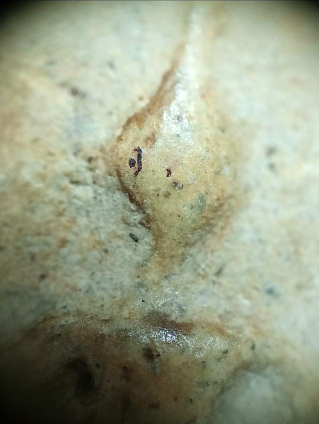 พระสมเด็จวัดระฆัง