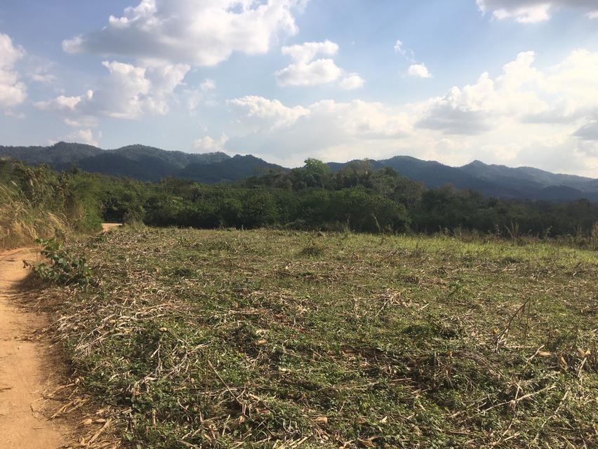 ขายที่ดินแปลงเดียว สูงกว่าถนน 42 ไร่ วิวภูเขา 360 องศา ที่ดินเป็นเนินหลังเต่า มองวิวทิวทัศน์รอบด้านเหมือนพญาอินทรีย์ครับ 2