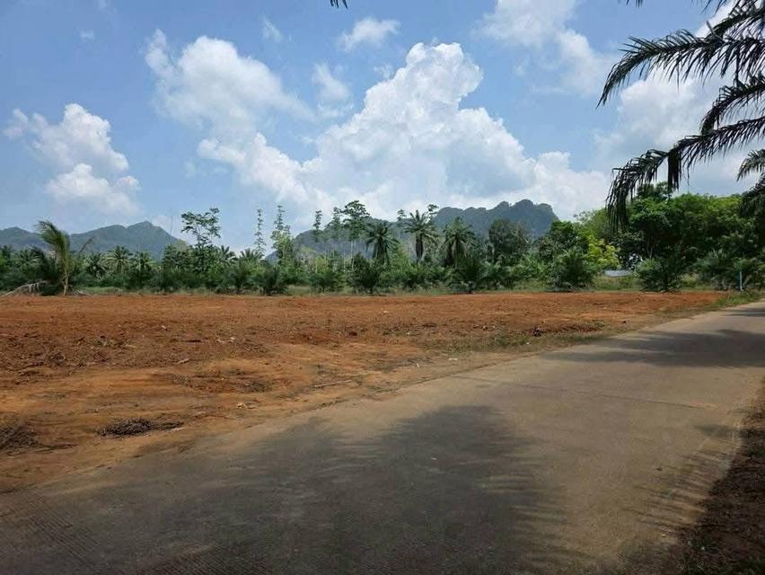 ที่ดินวิวภูเขา จ.กระบี่ 1