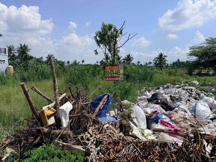 ขายด่วนที่ดิน 100 ตรว ติดถนนลาดยางสาธารณะ ซ.ประทุม บางบัวทอง นนทบุรี 14