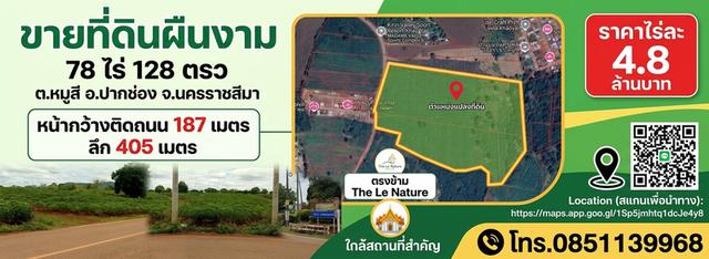 ขายที่ดิน 78 ไร่ 128 ตรว. ต.หมูสี อ.ปากช่อง นครราชสีมา 1
