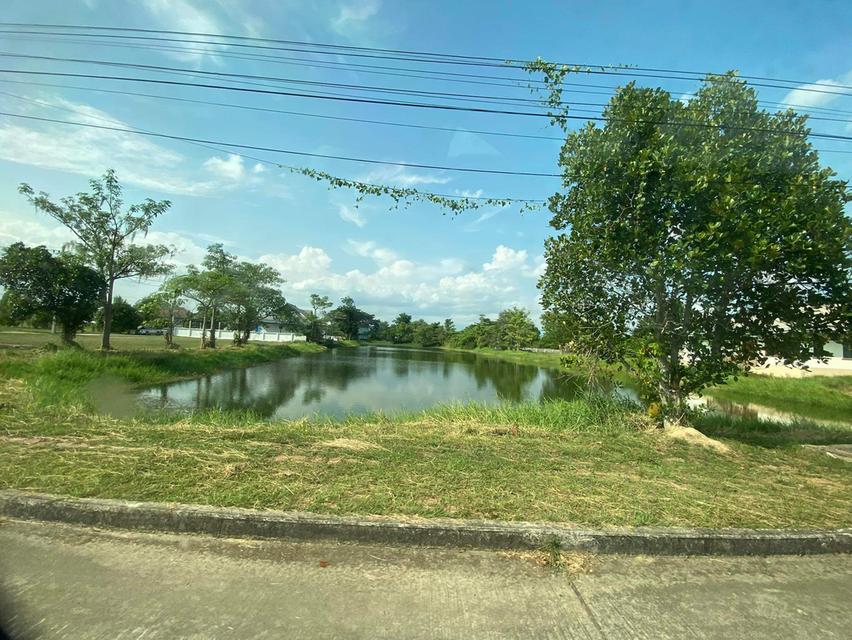 ขายบ้านและที่ดิน ให้เช่า 4