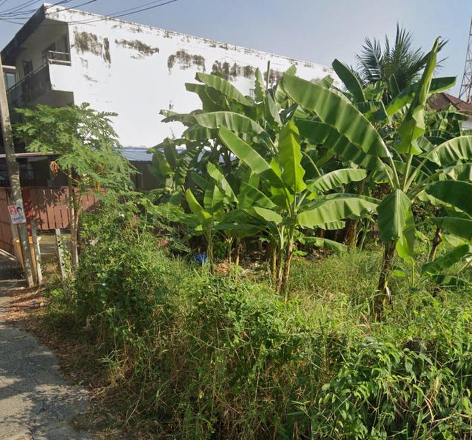 ขาย ที่ดินเปล่า 91 ตรว. ซ.แจ้งวัฒนะ 10 แยก 9-1 ทุ่งสองห้อง หลักสี่ ใกล้ศูนย์ราชการแจ้งวัฒนะ 3