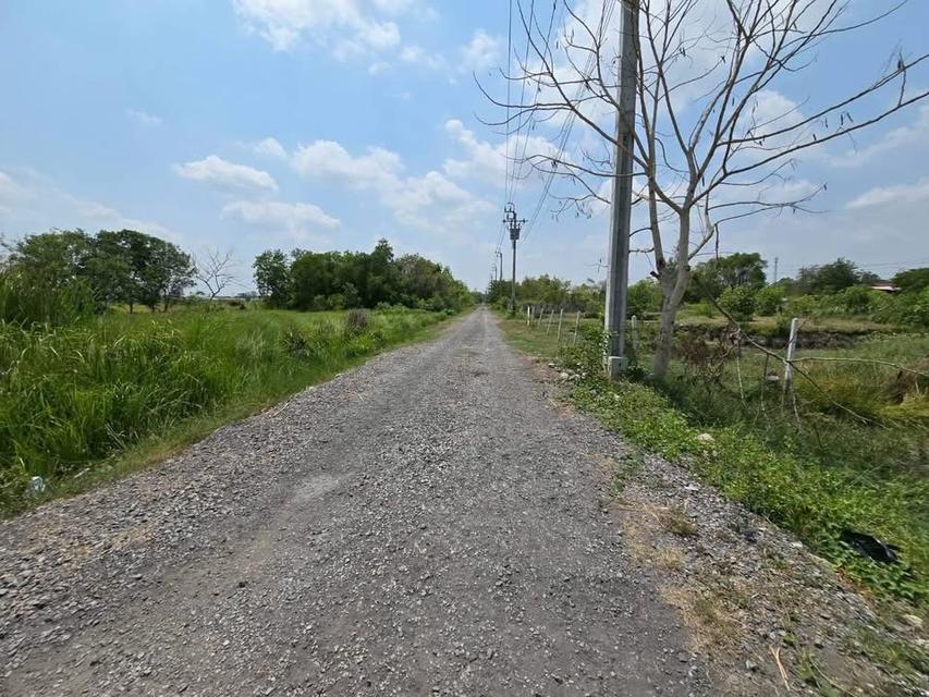 Vายที่ดิน 400 ตารางวา ประชาสำราญ แขวงคลอง12 ตะวันออก เขตหนองจอก กรุงเทพมหานคร 7