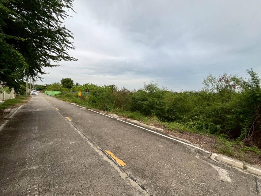 ขายที่ดินเปล่า ปิ่นทองแลนด์ซอย2​ ไทรน้อย นนทบุรี 3