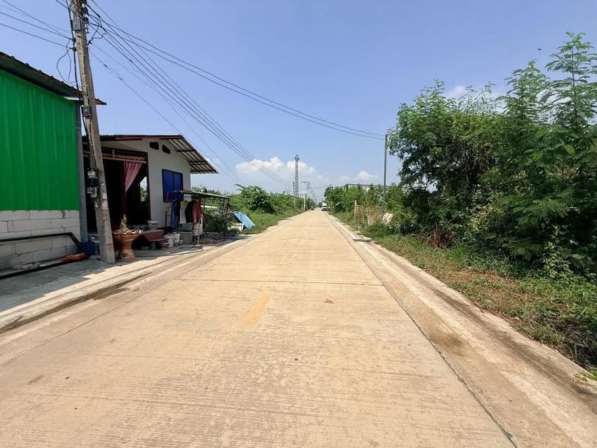 Vายถูก  ที่ดินคลองหนึ่ง 100 ตารางวา ติดถนนคอนกรีตสาธารณะซอย เทพกุญชร 45 อ.คลองหลวง จ.ปทุมธานี 3