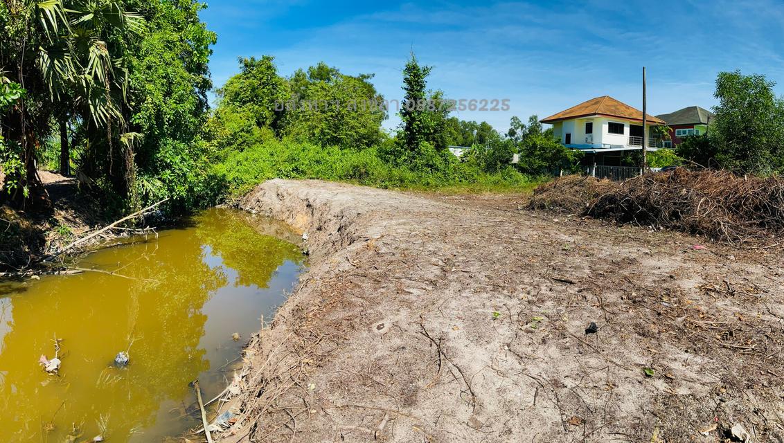 ที่ดิน 100 ตารางวา หลังติดคลองธรรมชาติ 2