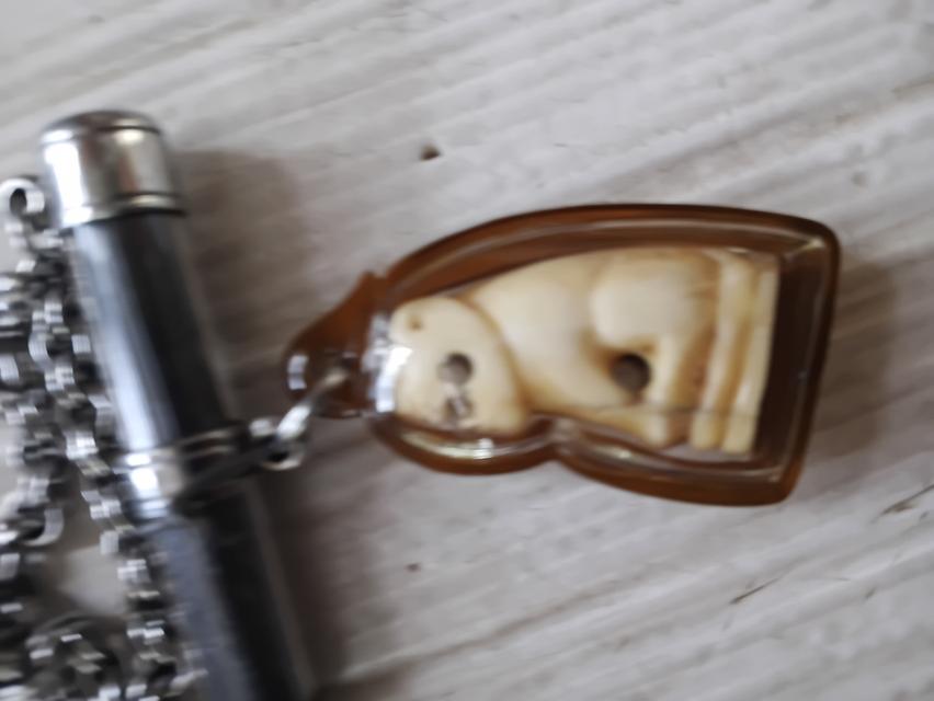 เขี้ยวเสือแกะ (เลี่ยมกรอบ) รูปที่ 7