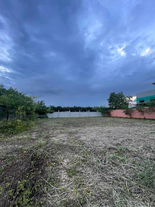 ขายที่ดิน 140 ตรว พุทธมณฑลสาย2  ใกล้พรานกตัดใหม่-สาย4 7