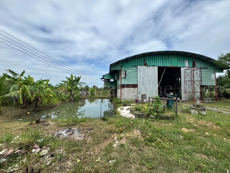 ที่ดินเปล่า 2 ไร่ รังสิต - นครนายก คลอง 10 หนองเสือ ปทุมธานี 3