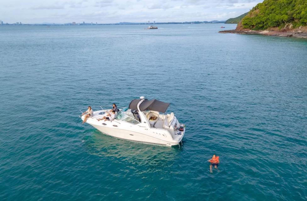 เรือยอร์ช Searay Sundancer ปี 2005 3