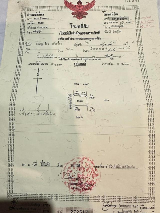 ที่ดินถมแล้ว 59.3ตารางวา ต.อรัญญิก อ.เมืองพิษณุโลก 5