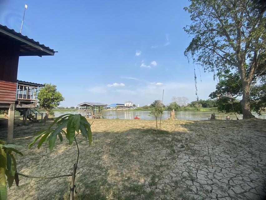 ที่ดินผืนงามริมแม่น้ำเจ้าพระยา – อัญมณีแห่งบางปะอิน 20